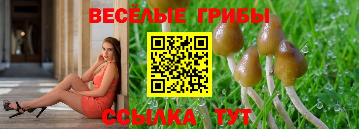 Галлюциногенные грибы мухоморы  Вход с VPN  Лесосибирск 